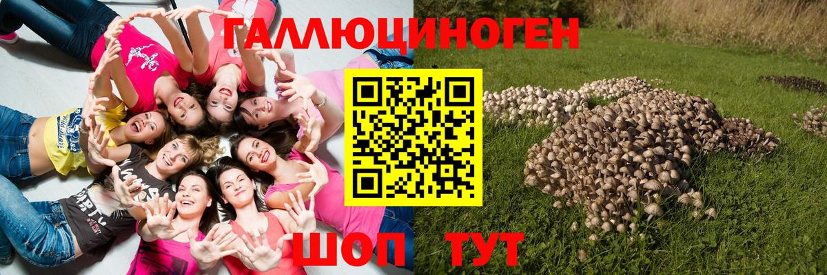 Сатка  Псилоцибиновые грибы ЛСД  Вход с VPN 