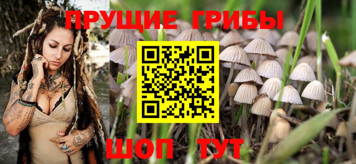 Галлюциногенные грибы мицелий Сатка